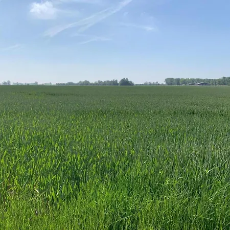 Lägenhet In In A Location